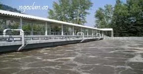 Xử lý nước thải sản xuất thực phẩm