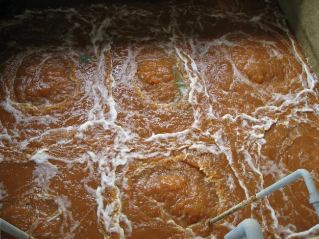 1345800721 1300978627 180607708 1 XU LY NUOC THAI XI MA Thanh pho Ho Chi Minh Thanh pho Ho Chi Minh