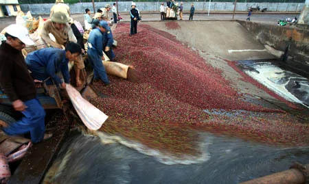 Công nghệ xử lý nước thải chế biến cà phê