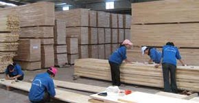Hệ thống xử lý bụi chế biến gỗ